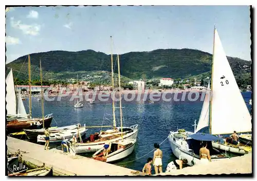 Cartes postales moderne La Cote des Maures Cavalaire sur Mer Var Le Port