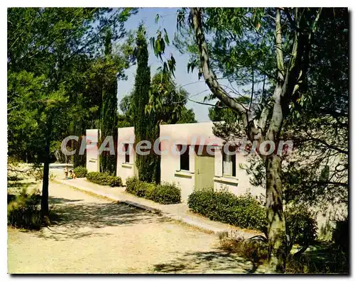 Cartes postales moderne Village Vacances Familles Les Pavillons a l'abri des Eucalyptus Le Pradet