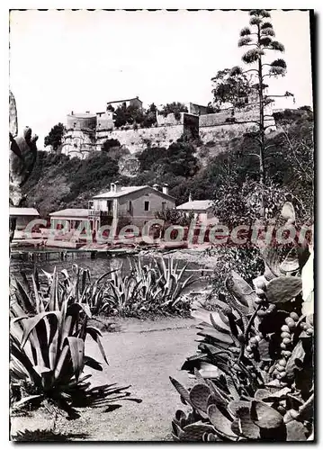 Cartes postales moderne Ile de Port Cros Vue sur le Port