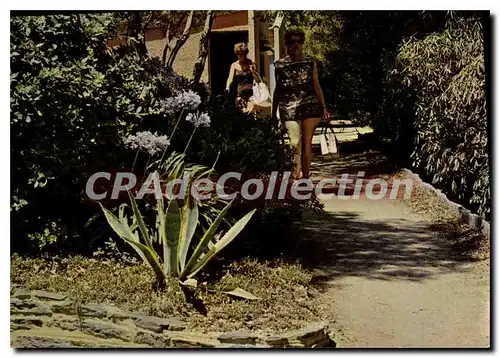 Cartes postales moderne Village de Vacances du touring club de France Pramousquier