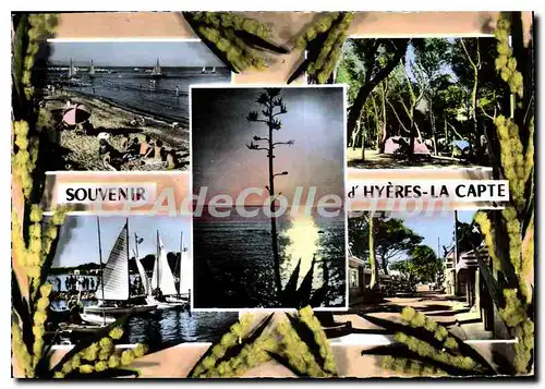 Cartes postales moderne La Cote A'Azur Hyeres La Capte Var La Plage Le Port