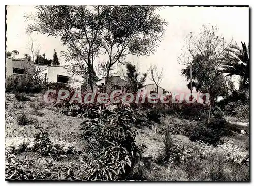 Cartes postales moderne Village de Vacances du T C F Pramousquier Cap Negre Var Un coin du Village de Vacances