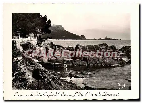 Cartes postales moderne Environs de St Raphael Var L'Ile d'Or et le Dramont
