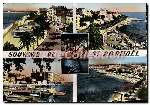 Cartes postales moderne La Cote D'Azur St Raphael Var