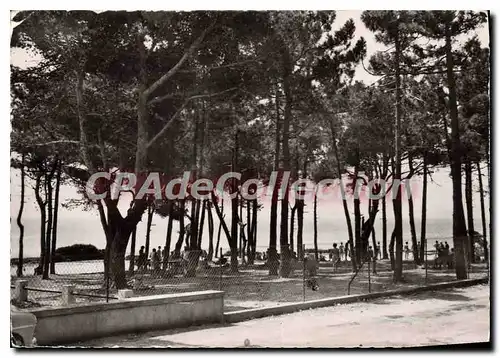 Cartes postales moderne Les Issambres Village du T C F La Pinede