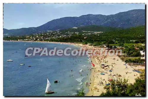 Cartes postales moderne La Croix Valmer Var La Plage Au loin le Parc de Cavalaire