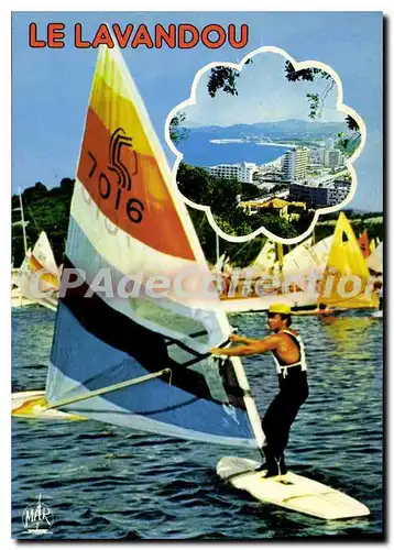 Cartes postales moderne La Cote D'Azur Souvenir du Lavandou Var