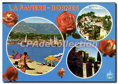 Cartes postales moderne La Cote D'Azur Bormes les Mimosas Var La Faviere