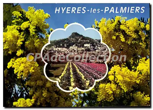 Cartes postales moderne Hyeres les Palmiers Var Vue generale