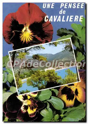 Cartes postales moderne Cote D'Azur Cavaliere