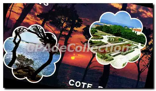 Cartes postales moderne La Cote D'Azur Giens Var