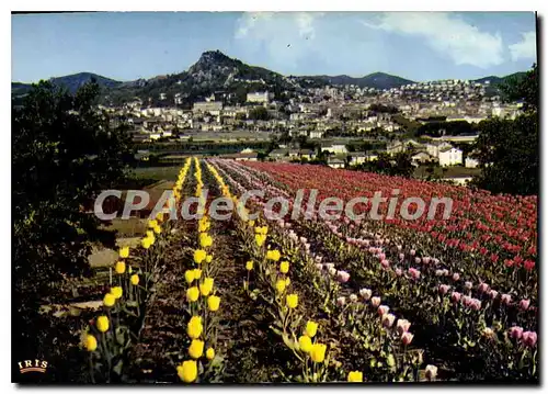 Cartes postales moderne La Cote D'Azur Hyeres les Palmiers Var Vue generale