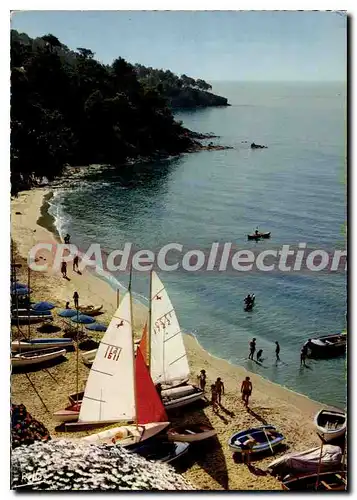 Cartes postales moderne La Cote D'Azur Varoise Le Rayol Var La Plage