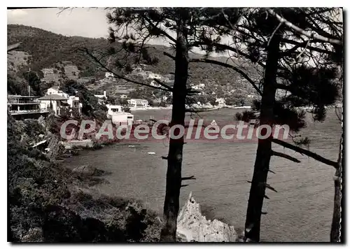 Cartes postales moderne La Cote des Maures Environs du Lavandou Aiguebelle Les Hotels et la Plage