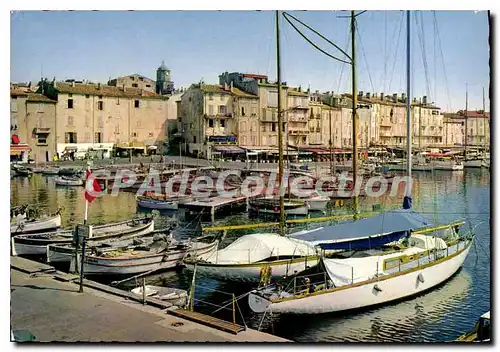 Cartes postales moderne La Cote des Maures St Tropez Var Le Quai Jean Jaures vu de la Jelee