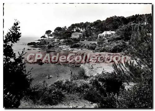 Cartes postales moderne St Aygulf Var Les calanques