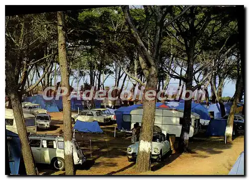 Cartes postales moderne Cote D'Azure France La Capte d'Hyeres Le Camping