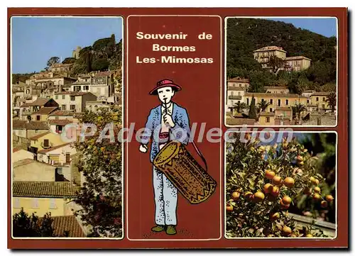 Cartes postales moderne Bormes les Mimosas Var