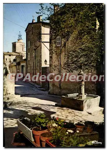 Cartes postales moderne Lorgues Var Place du petit marche