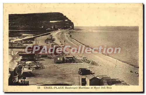 Cartes postales Criel Plage Boulevard Maritime et Mont Jolis Bois