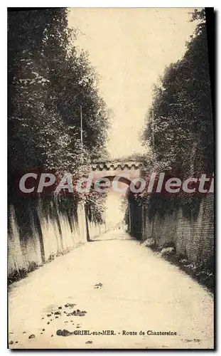 Cartes postales Criel sur Mer Route de Chantereine