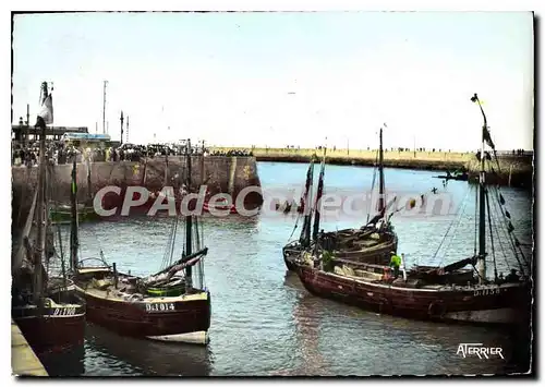 Cartes postales moderne Le Treport Seine Maritime En Saison La promenade en Mer