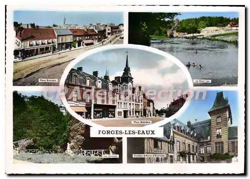 Cartes postales moderne Forges les Eaux place Brevi�re lac pavillon Anne d'Autriche