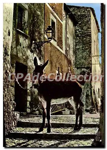 Cartes postales Scene de Provence Ane