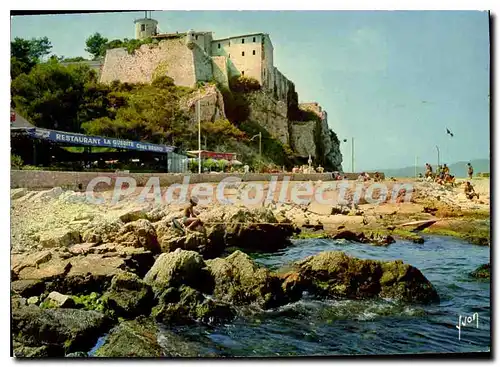 Cartes postales Couleurs et Lumiere de France La Cote d'Azur miracle de la nature Les Iles de Lerins Alpes Marit