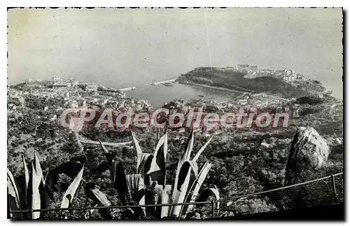 Cartes postales Principaute de Monaco Vue generale prise de la Turbie