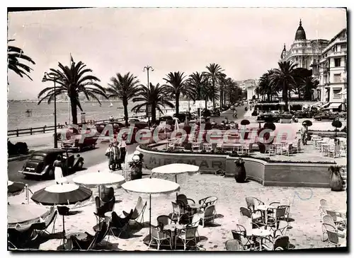 Cartes postales moderne La Cote D'Azur Cannes La Croisette