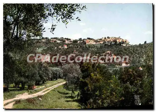 Cartes postales moderne Berre les Alpes A M Vue generale