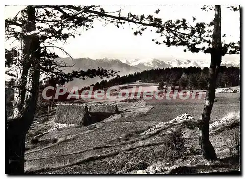 Cartes postales moderne Peira Cava Vue sur les Alpes