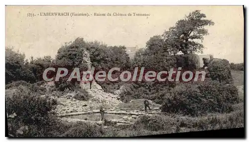 Cartes postales L'Aberwrach Finistere Ruines du Chateau de Tromenec