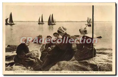 Cartes postales Bretagne concarneau sardinieres Attendant l'Arrivee des Bateaux de peche