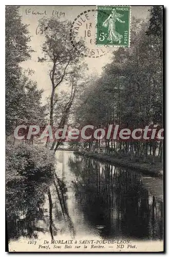 Cartes postales De Morlaix � Saint Pol de Leon Penz� sous bois sur la riviere