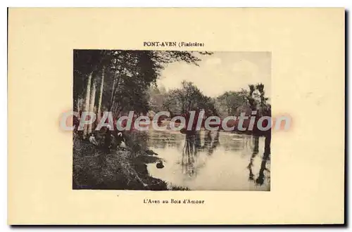 Cartes postales Pont Aven Finistere l'Aven au Bois d'Amour