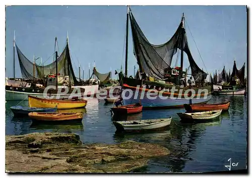 Cartes postales moderne Bateaux de peche dans le port de Lesconil Finistere