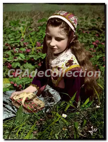 Cartes postales moderne Fillette en costume de Plougastel Daoulas dans un champ de fraises