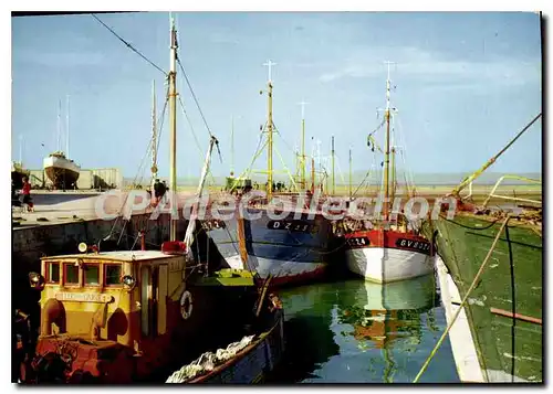 Cartes postales moderne Ports Bretons Douarnenez Treboul Sud Finistere