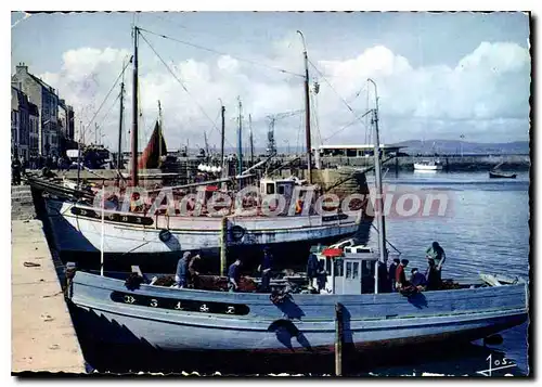 Cartes postales moderne Les Bateaux au grand port de Douarnenez