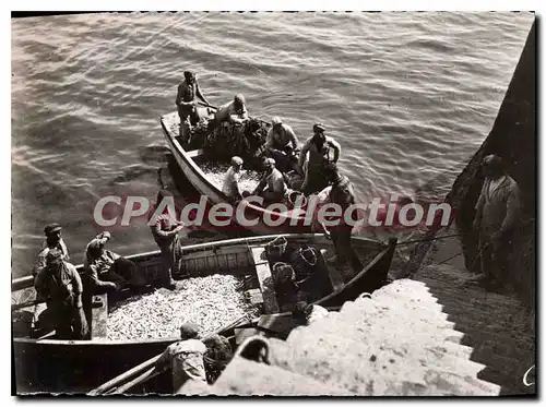 Cartes postales moderne Scenes et types Bretons Arrivee de Sardines � port Maria