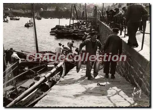 Cartes postales moderne Douarnenez Finistere Arivage de Thons