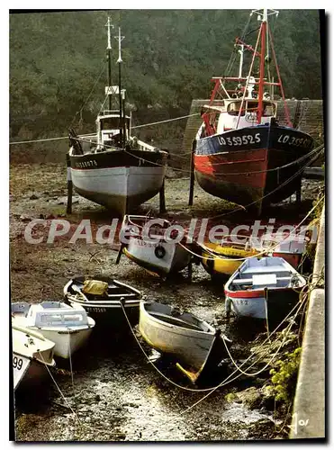 Cartes postales moderne Maree basse Brigneau