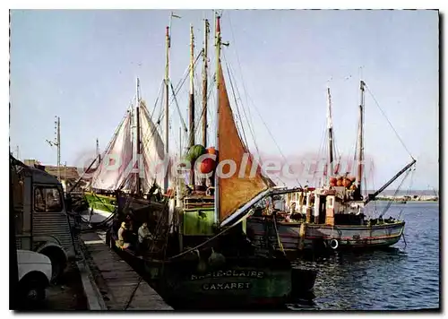 Cartes postales moderne Bateaux de peche dans le port de Camaret