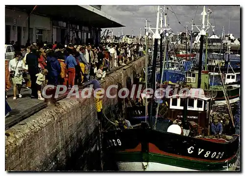 Cartes postales Le Guilvinec Finistere le retour des bateaux de peche