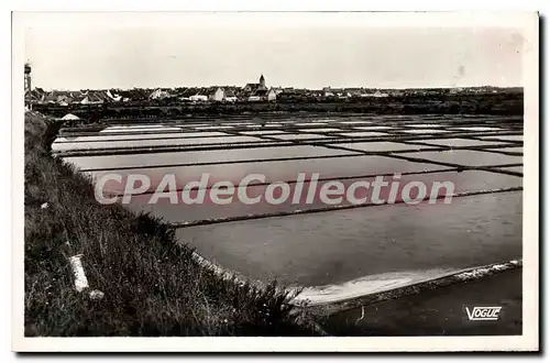 Cartes postales Saille et les marais salants