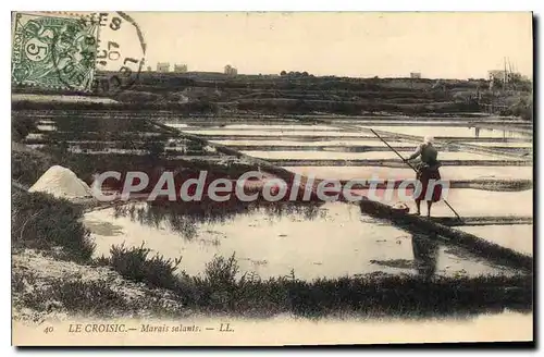 Cartes postales Le Croisic Marais salants