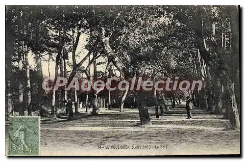 Cartes postales Le Pouliguen Loire Inf Le Bois