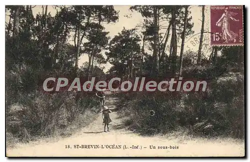 Cartes postales St Brevin l'Ocean L Inf Un sous bois